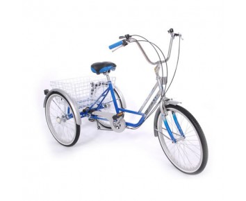 Mission Trilogy 20" special needs tricycle